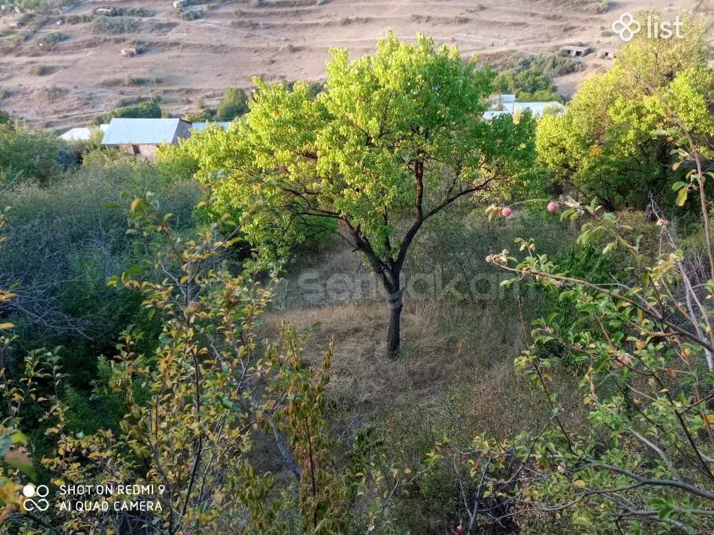6 Սենյականոց Ամառանոց, 220քմ, Ավտոտնակով