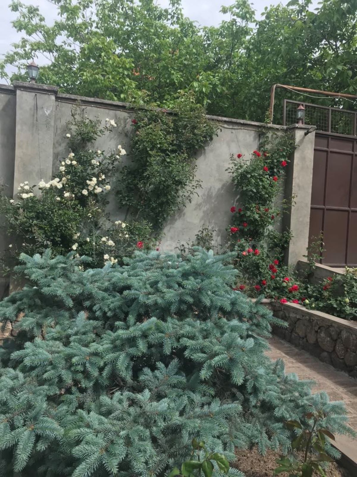 6 Սենյականոց Սեփական Տուն, 175քմ, Կապիտալ Վերանորոգված