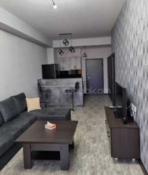 2 Սենյականոց Բնակարան Քարե Շենքում, 50քմ, 5/6 հարկ, Կապիտալ Վերանորոգված, Կահավորված, Արևկող