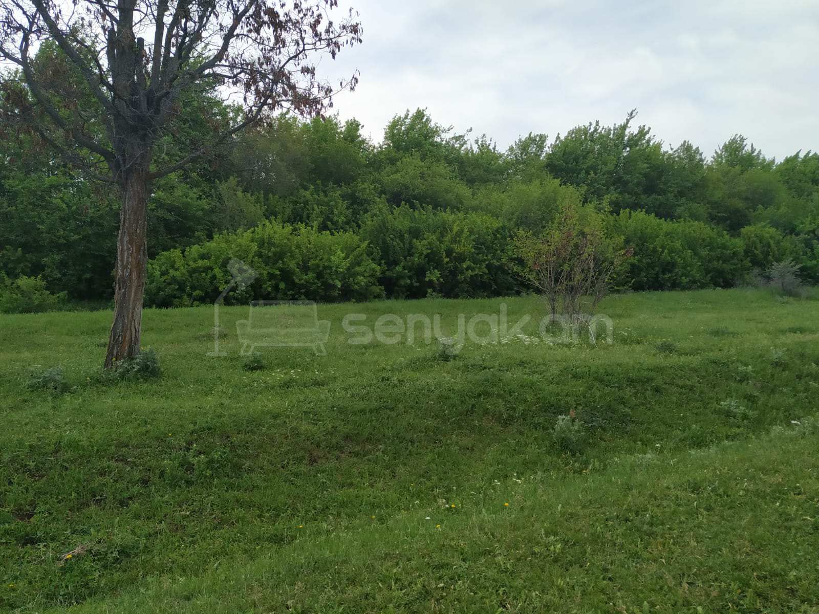 Հողամաս, 10000քմ, Ոռոգման Ջրով