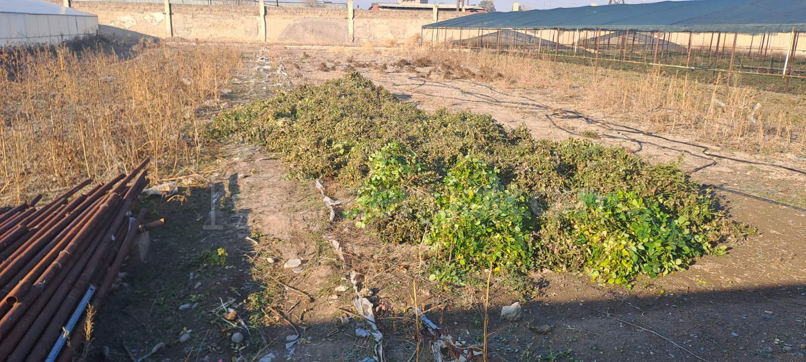 Կոմերցիոն Հողատարածք, 10000քմ, Ոռոգման Ջրով, Էլեկտրականությամբ, Պարսպապատ