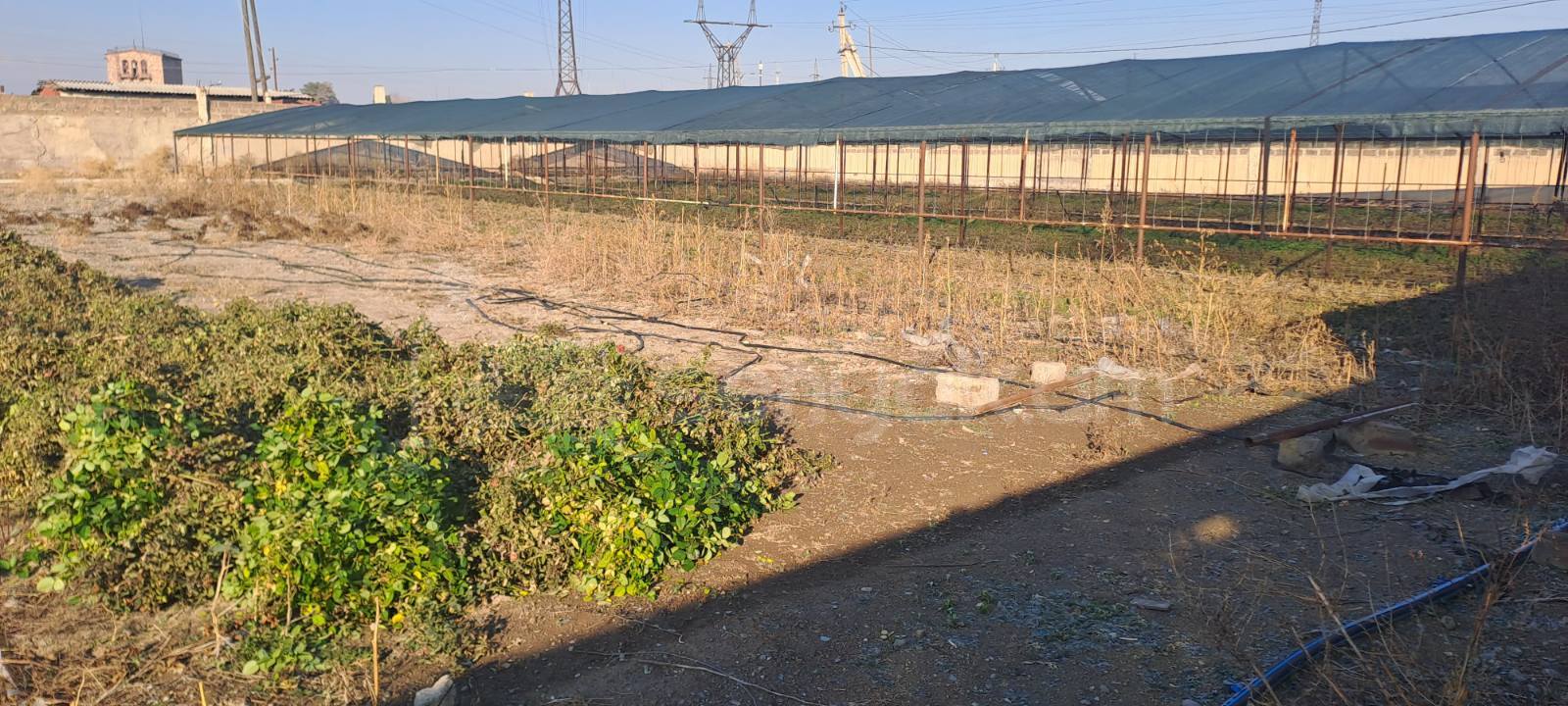 Կոմերցիոն Հողատարածք, 10000քմ, Ոռոգման Ջրով, Էլեկտրականությամբ, Պարսպապատ