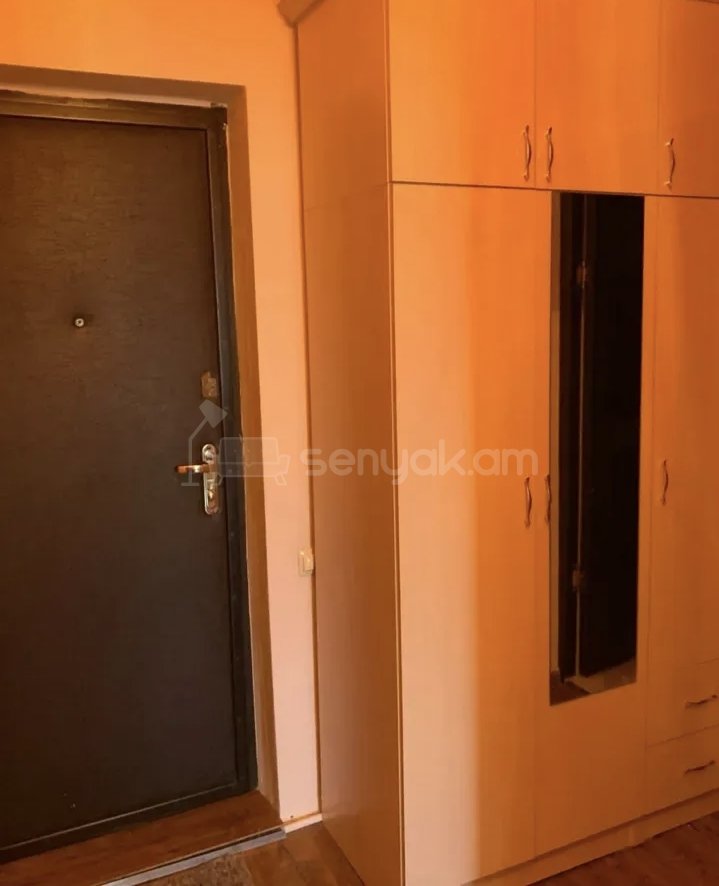 1 Սենյականոց Բնակարան, 46քմ, 3/9 հարկ, Նորմալ Վիճակում, Կահավորված