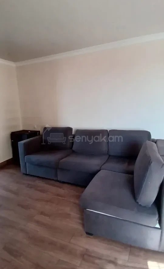 1 Սենյականոց Բնակարան, 56քմ, 8/9 հարկ, Դիզայներական Վերանորոգված, Կահավորված, Արևկող