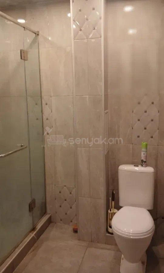 1 Սենյականոց Բնակարան, 56քմ, 8/9 հարկ, Դիզայներական Վերանորոգված, Կահավորված, Արևկող