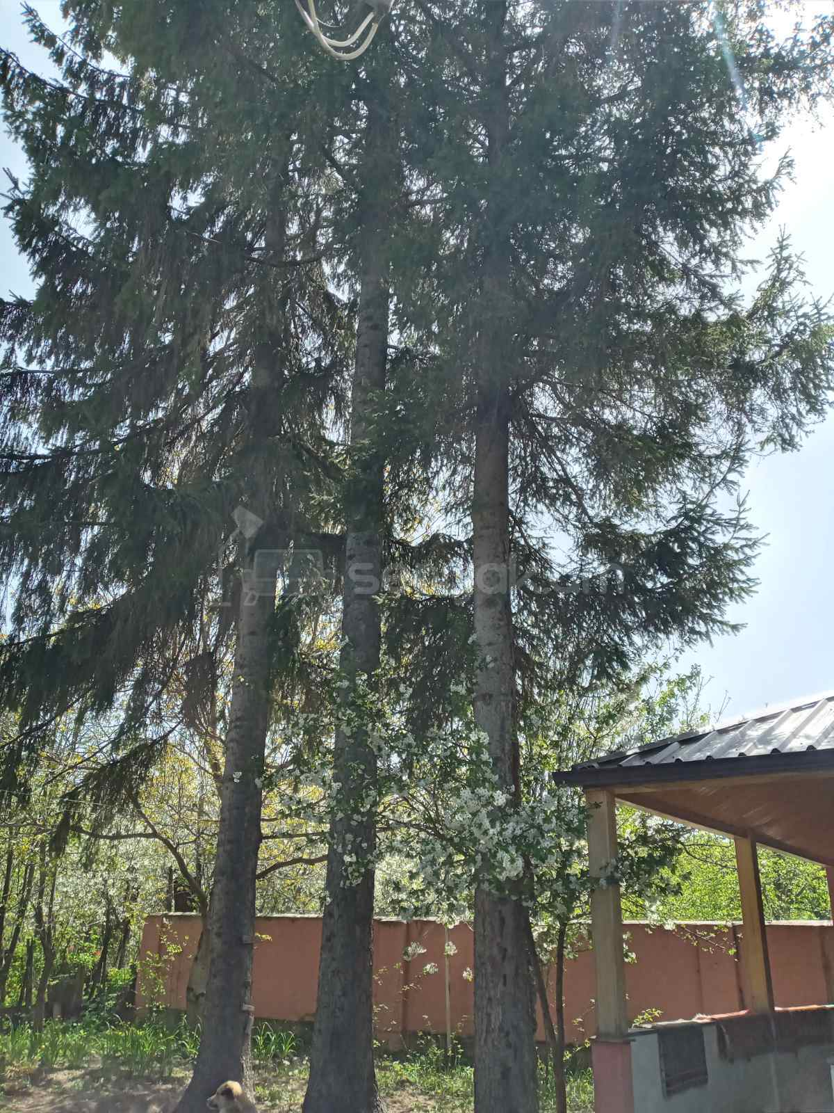 4 Սենյականոց Բնակարան, 200քմ, 1/1 հարկ, Կապիտալ Վերանորոգված
