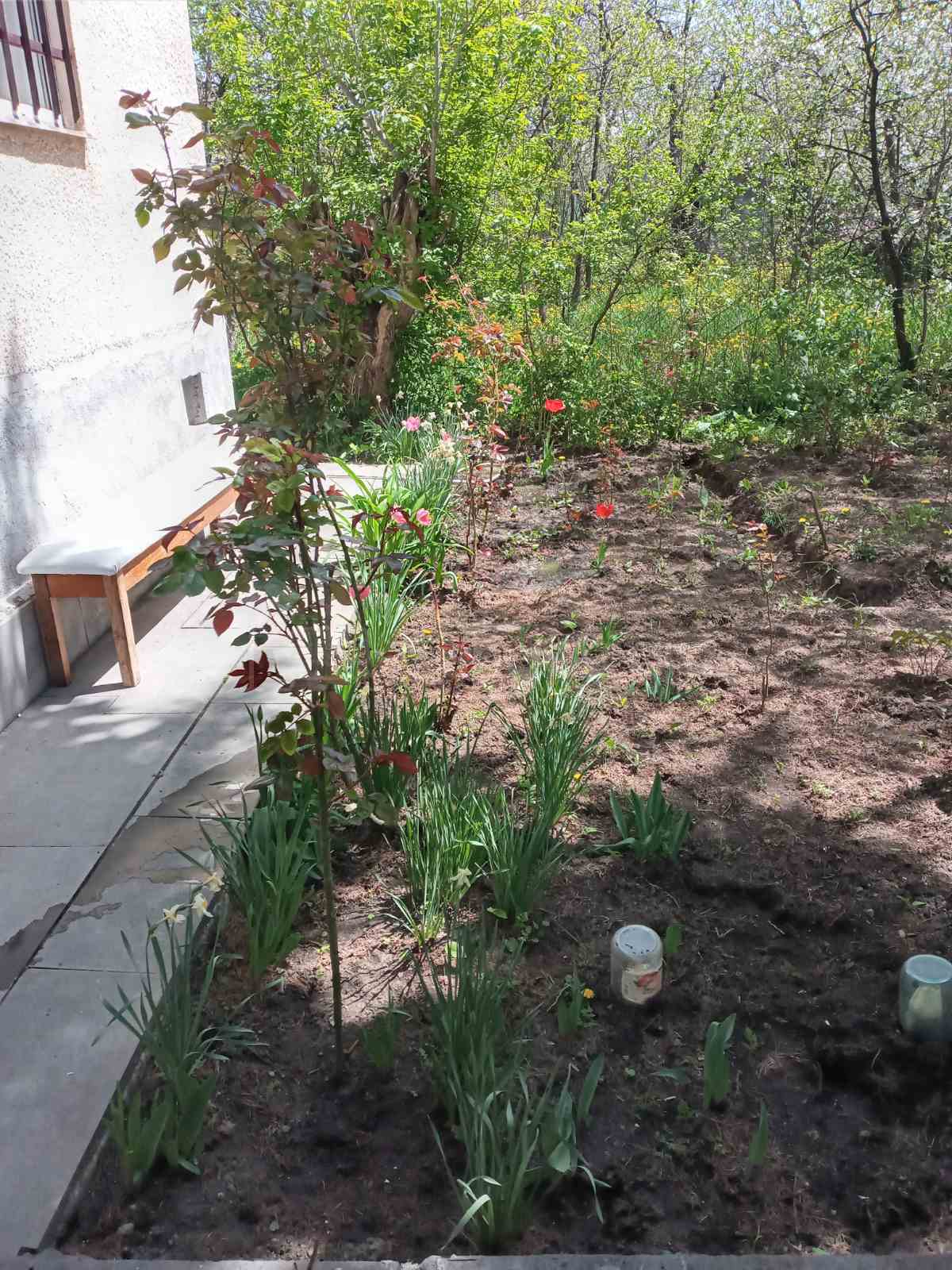 4 Սենյականոց Բնակարան Քարե Շենքում, 200քմ, 1/1 հարկ, Կապիտալ Վերանորոգված, Կահավորված, Արևկող