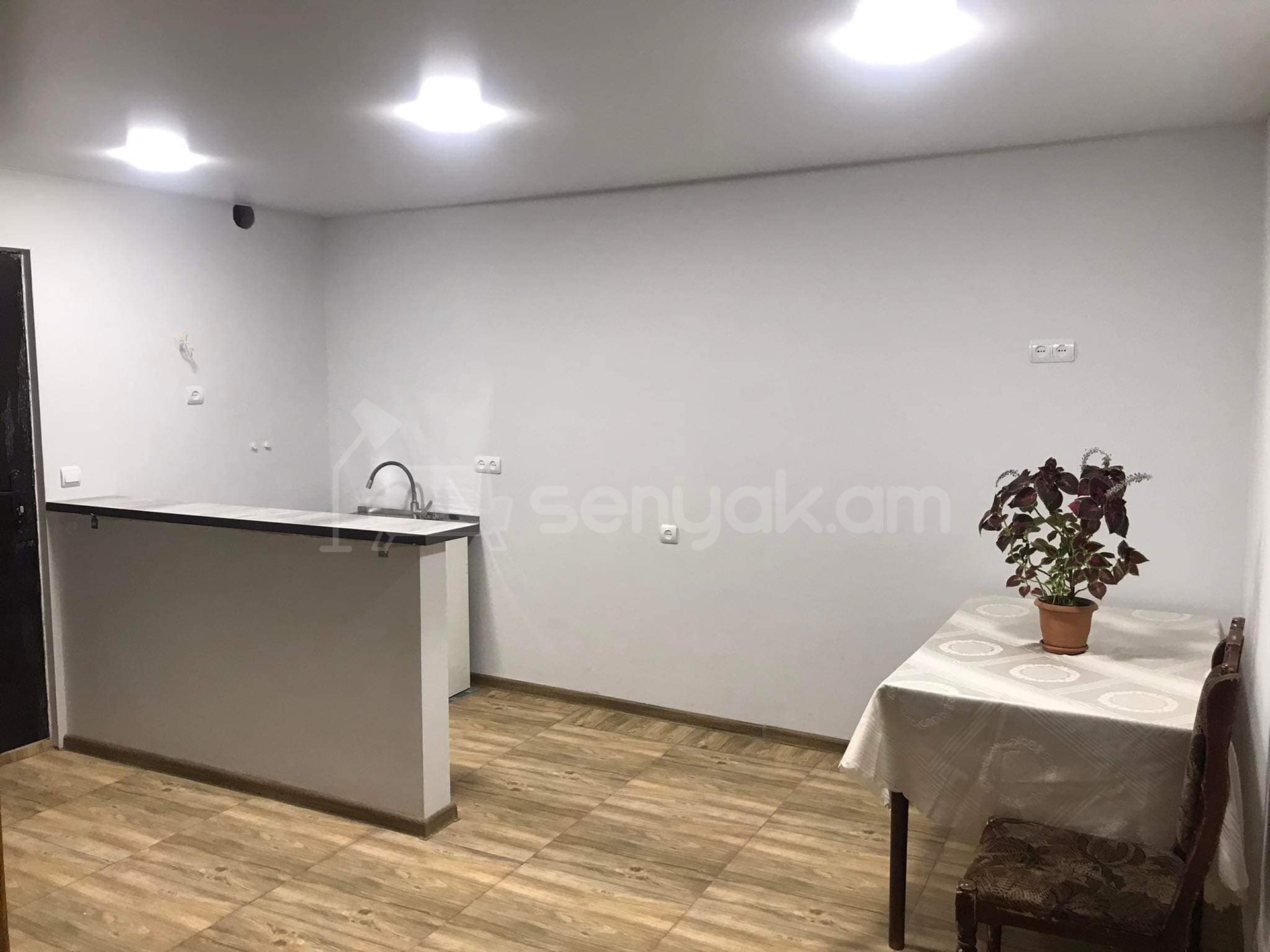 1 Սենյականոց Բնակարան Քարե Շենքում, 30քմ, 1/1 հարկ, Կապիտալ Վերանորոգված, Կահավորված