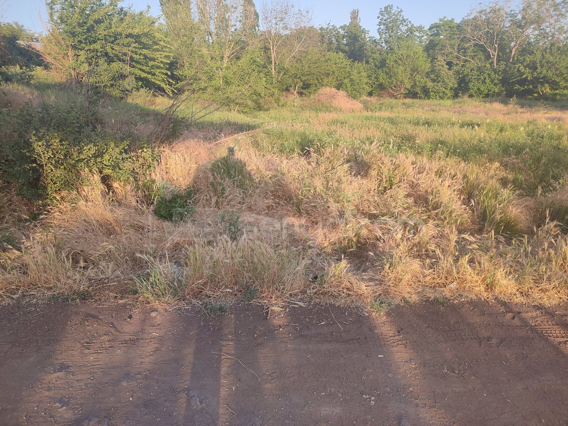 Կոմերցիոն Հողատարածք, 1840քմ, Ոռոգման Ջրով, Էլեկտրականությամբ
