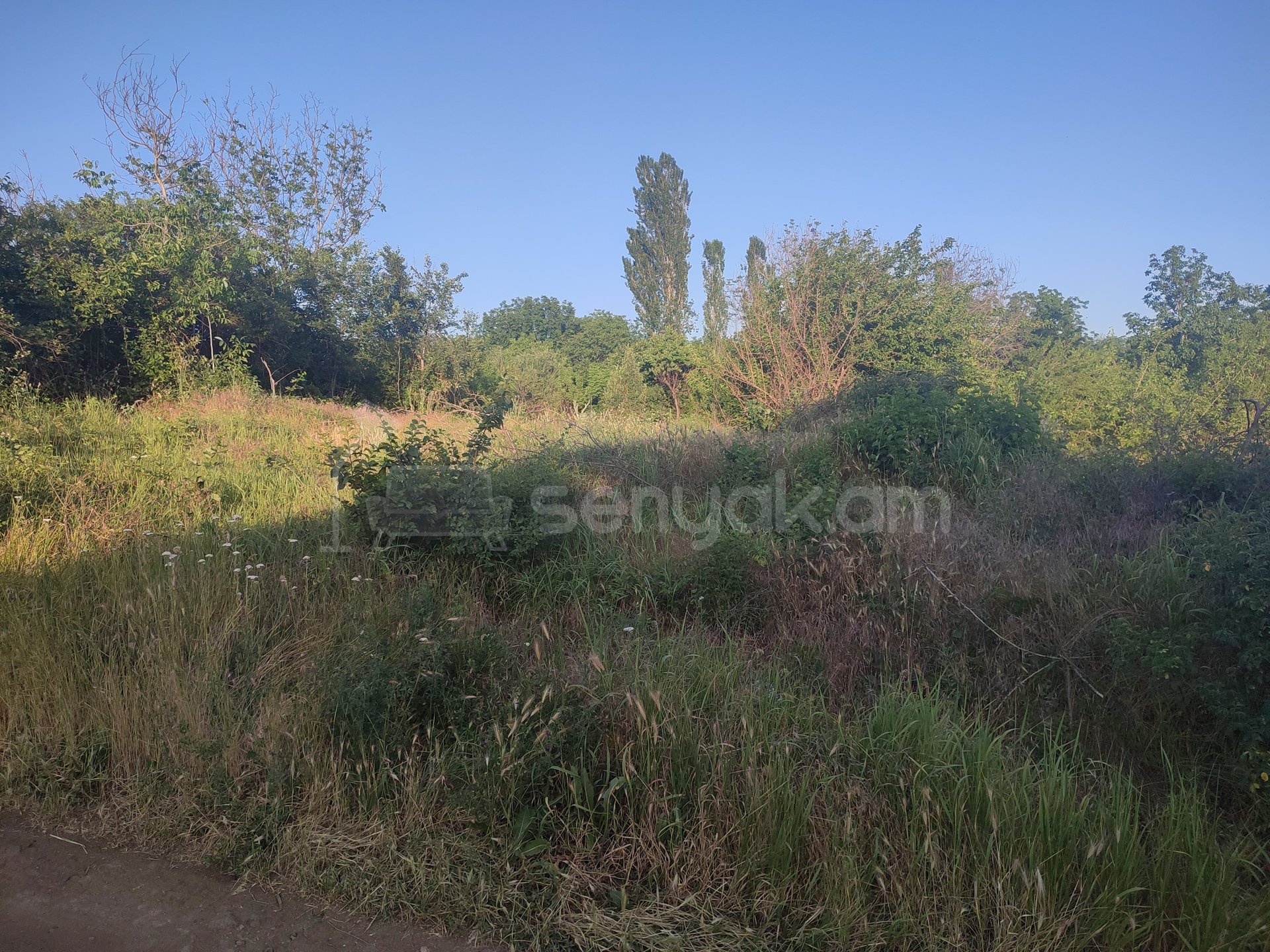Կոմերցիոն Հողատարածք, 1840քմ, Ոռոգման Ջրով, Էլեկտրականությամբ