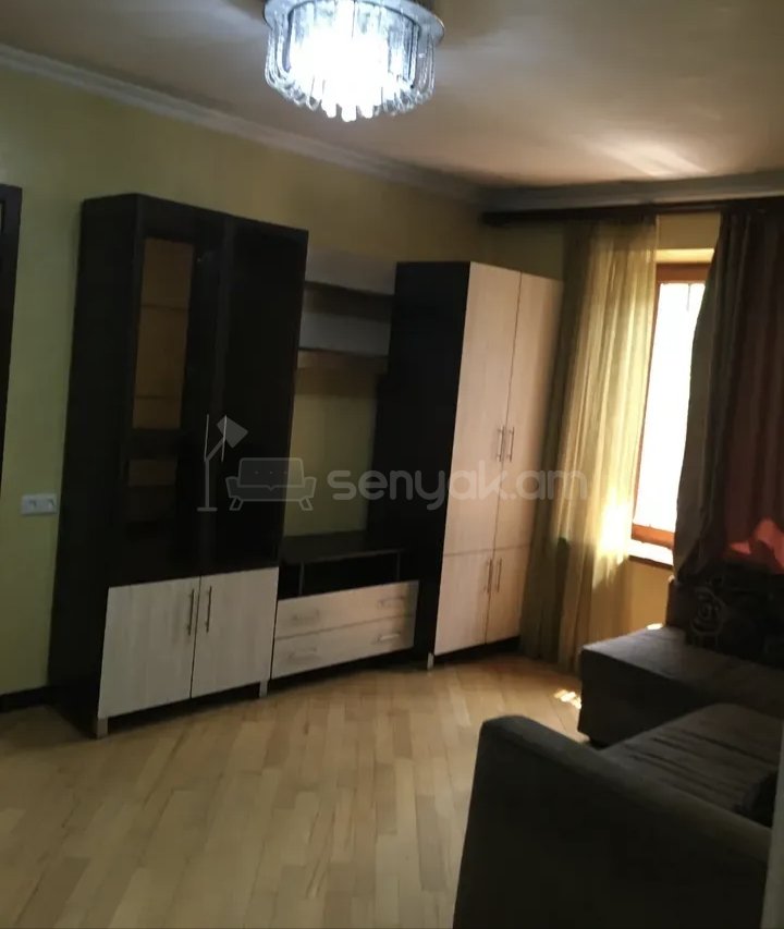 2 Սենյականոց Բնակարան Քարե Շենքում, 55քմ, 1/9 հարկ, Կապիտալ Վերանորոգված, Կահավորված
