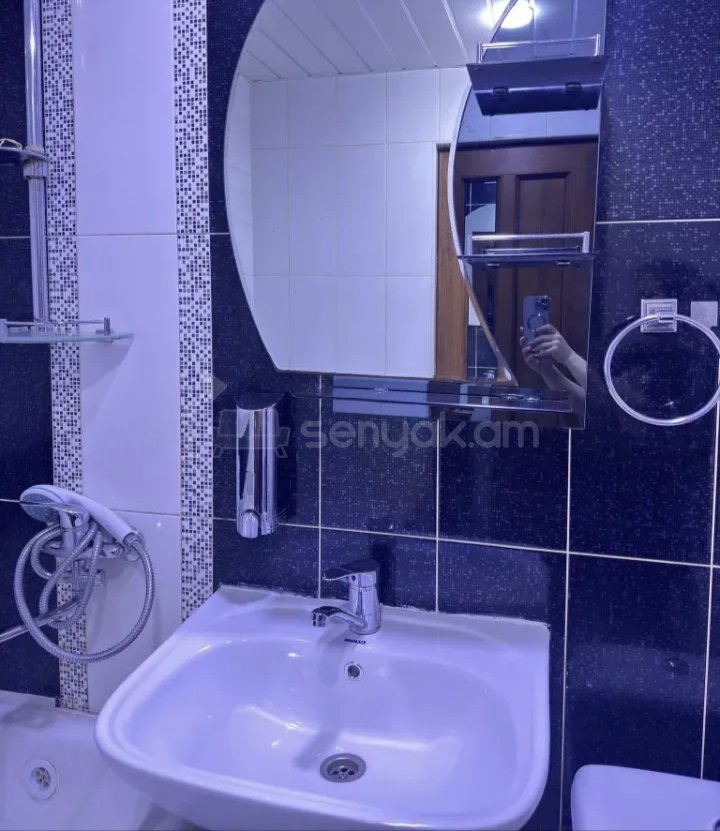 2 Սենյականոց Բնակարան Քարե Շենքում, 67քմ, 3/5 հարկ, Կապիտալ Վերանորոգված, Կահավորված