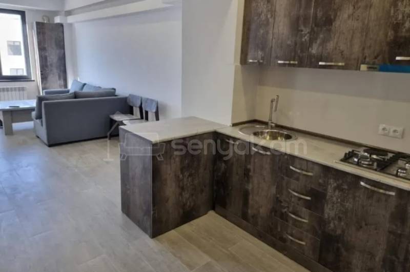 3 Սենյականոց Բնակարան, 55քմ, 9/11 հարկ, Կապիտալ Վերանորոգված, Կահավորված, Արևկող