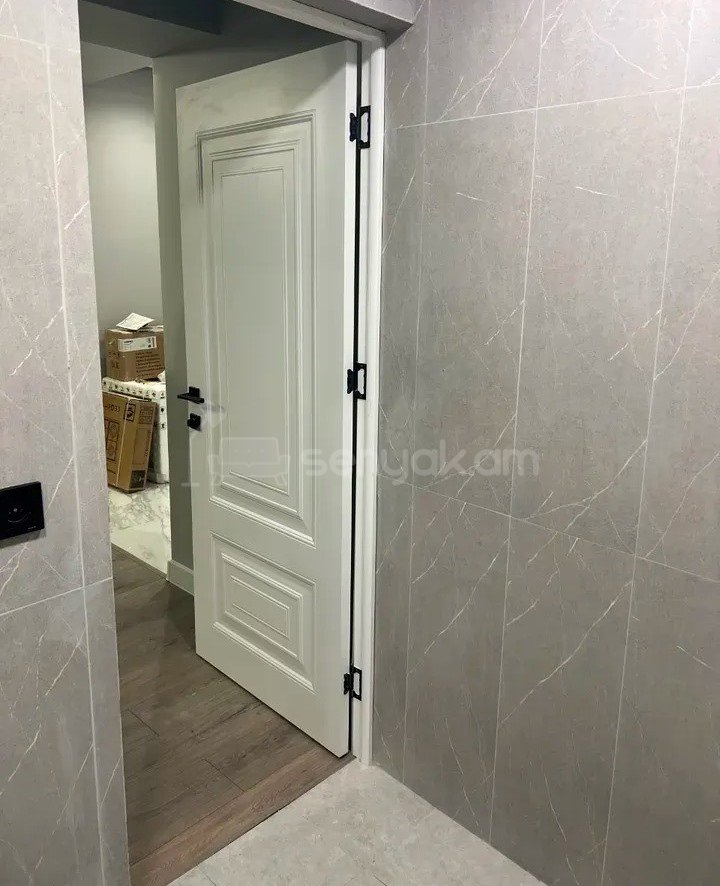 2 Սենյականոց Բնակարան, 48քմ, 1/9 հարկ, Կապիտալ Վերանորոգված