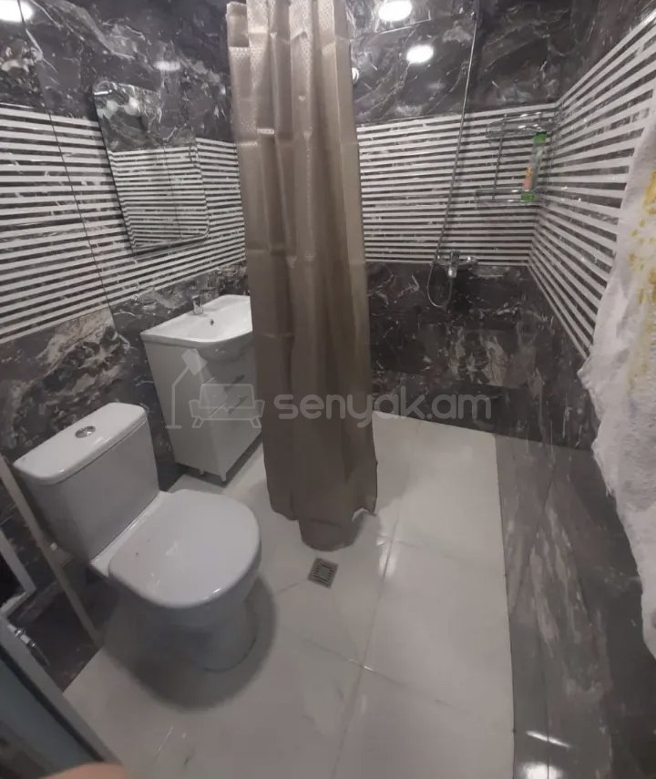 1 Սենյականոց Բնակարան Քարե Շենքում, 45քմ, 3/5 հարկ, Կապիտալ Վերանորոգված, Կահավորված, Արևկող
