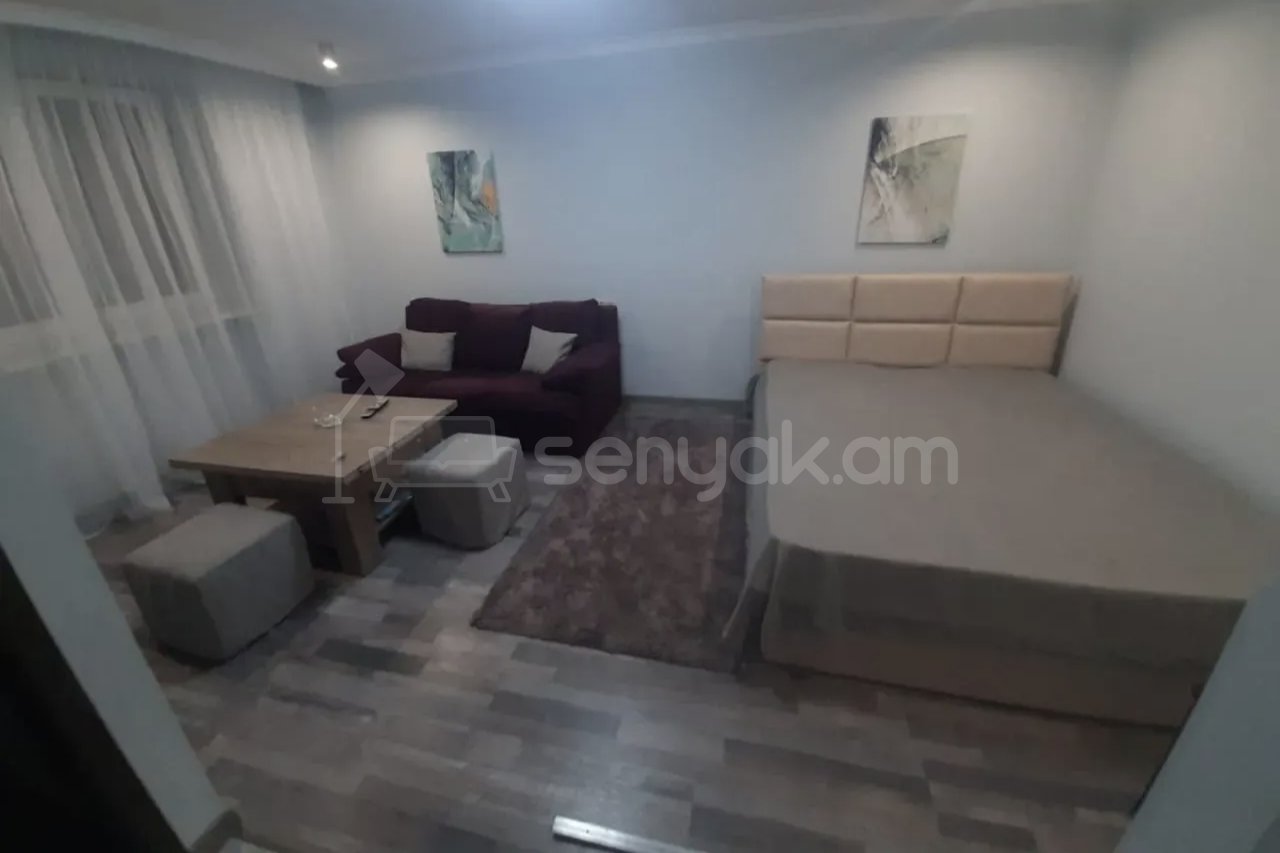 1 Սենյականոց Բնակարան Քարե Շենքում, 45քմ, 3/5 հարկ, Կապիտալ Վերանորոգված, Կահավորված, Արևկող