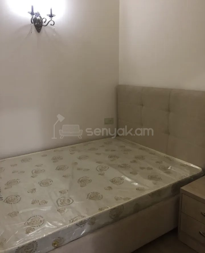 2 Սենյականոց Բնակարան Քարե Շենքում, 39քմ, 1/9 հարկ, Կապիտալ Վերանորոգված, Կահավորված, Արևկող