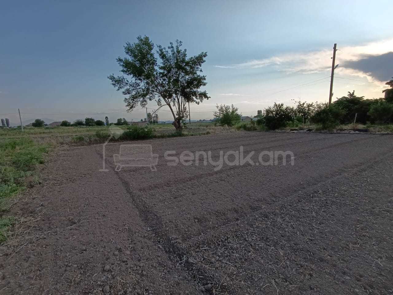 Բնակելի Նշանակության Հողատարածք, 1000քմ