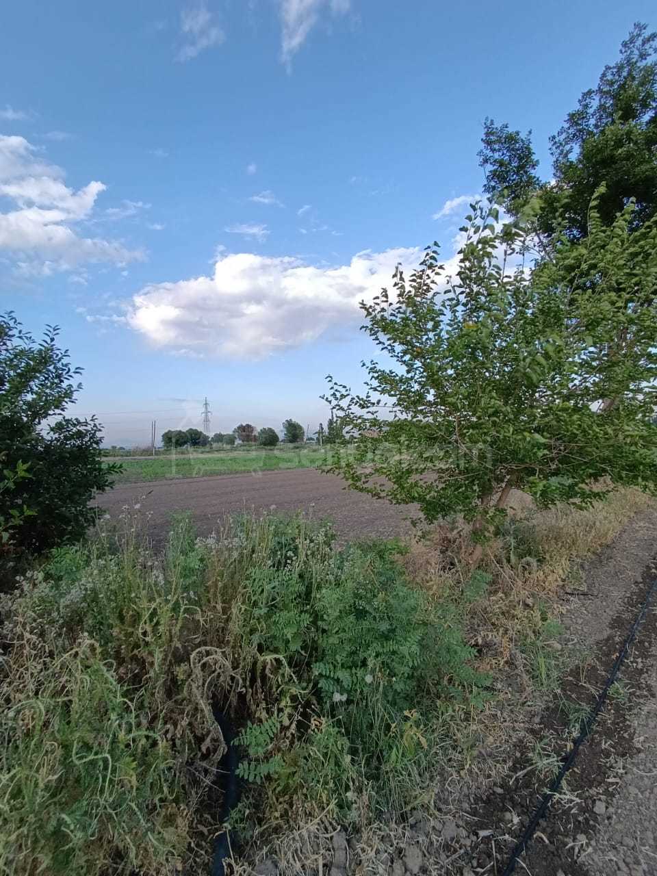 Բնակելի Նշանակության Հողատարածք, 1000քմ