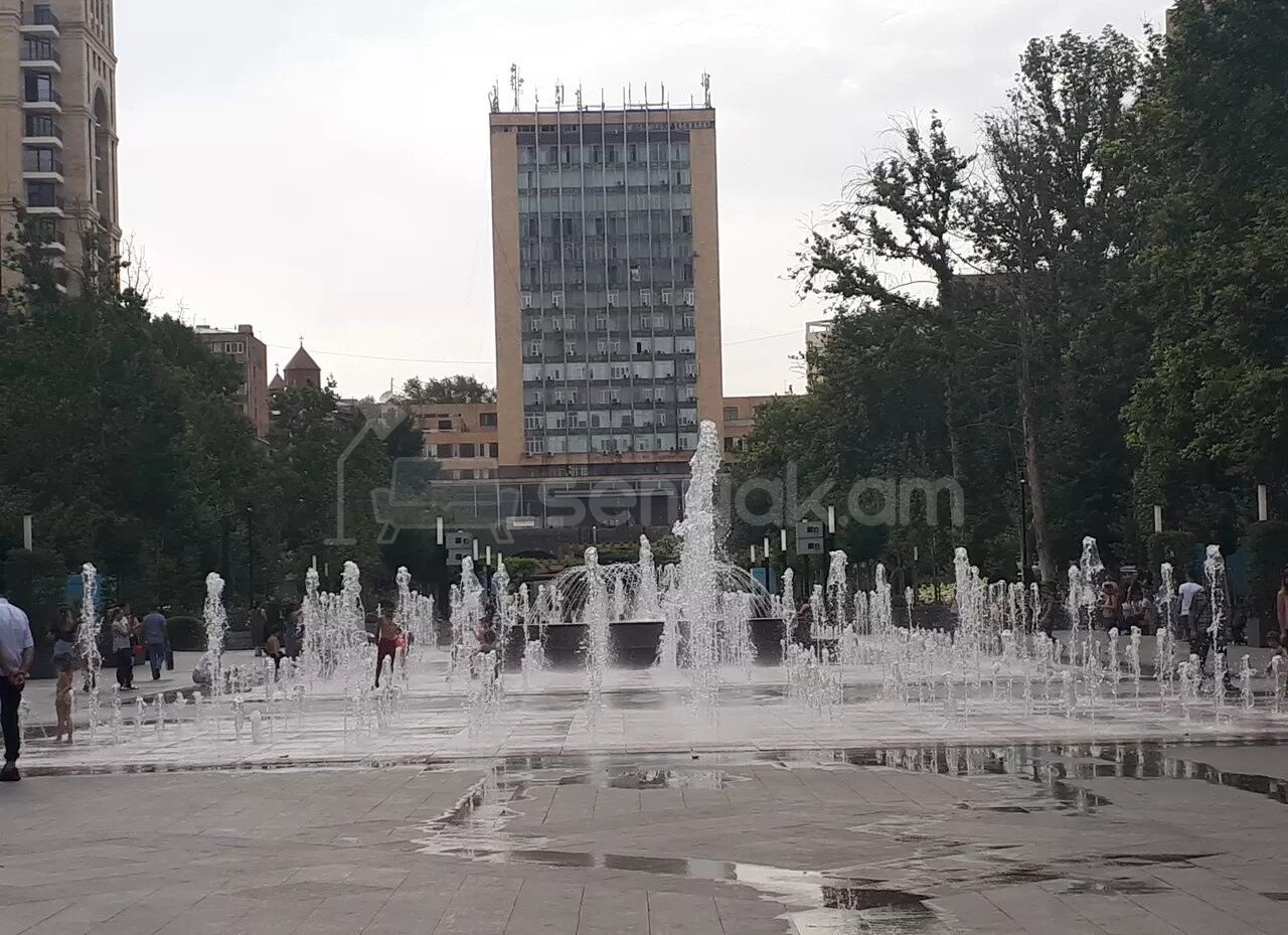 1 Սենյականոց Բնակարան, 40քմ, 4/9 հարկ, Կապիտալ Վերանորոգված
