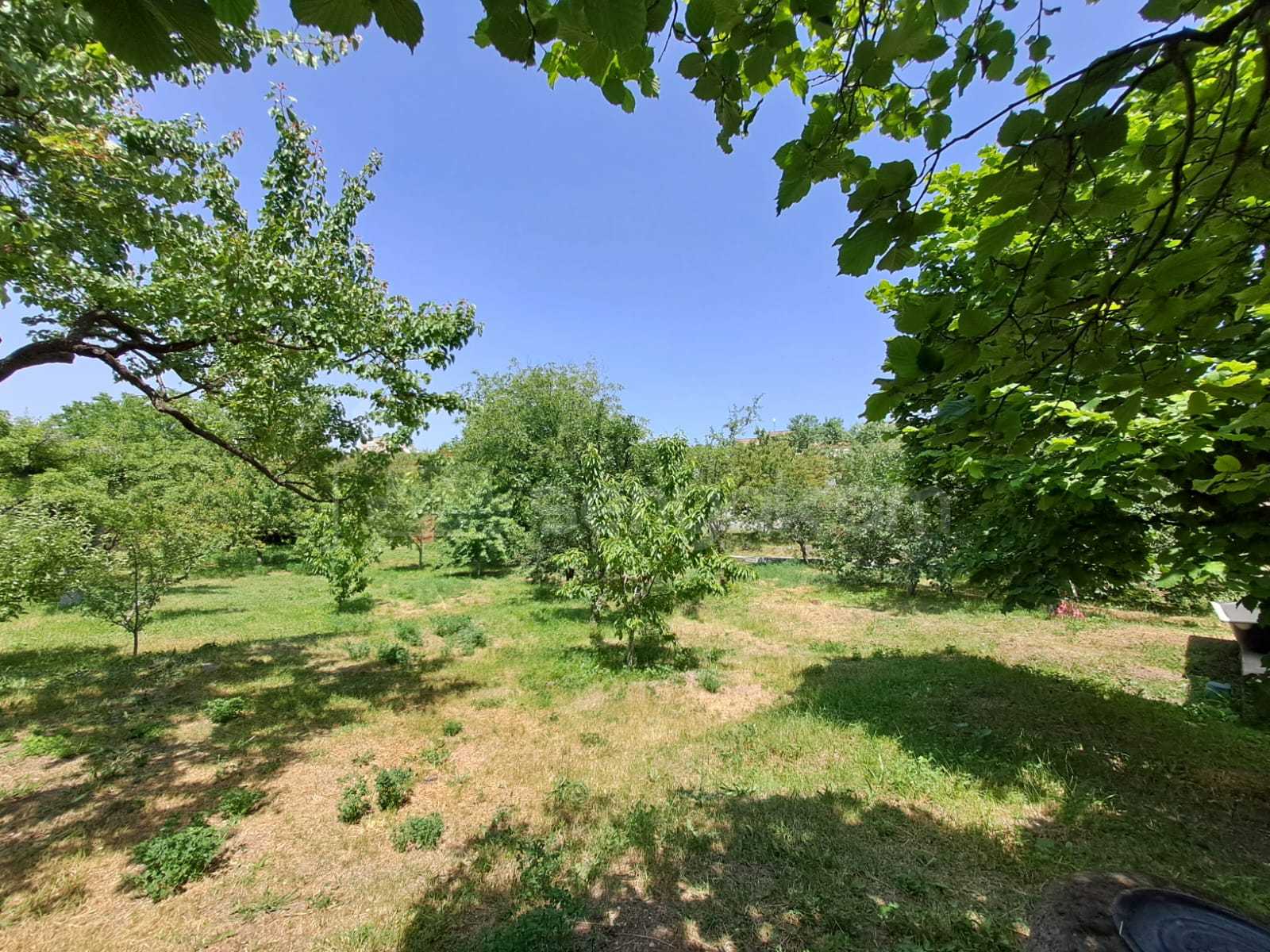 6 Սենյականոց Սեփական Տուն, 220քմ, Կապիտալ Վերանորոգված