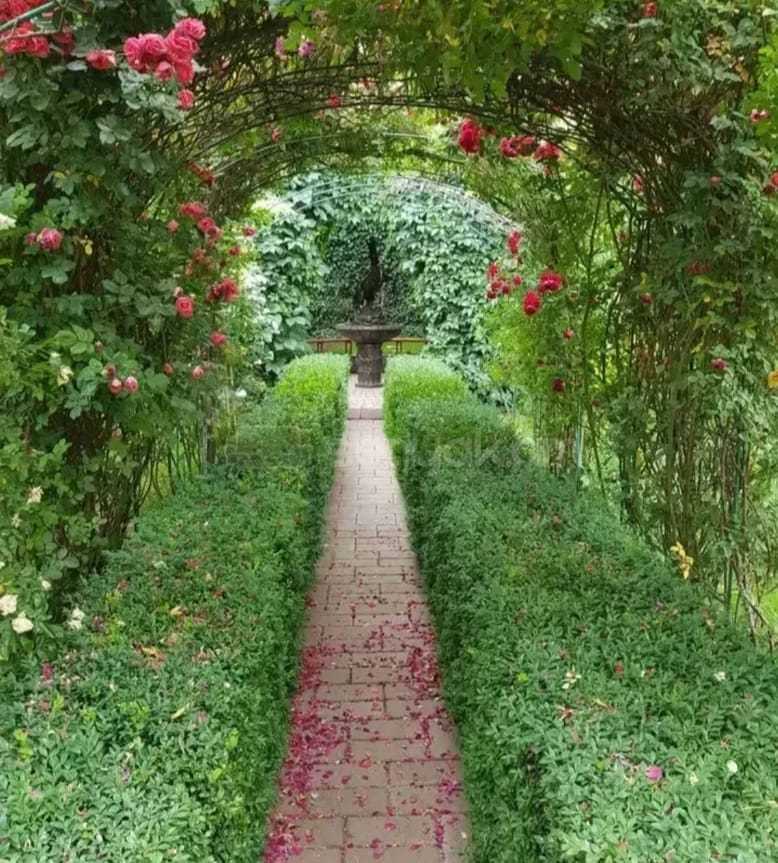 1 Սենյականոց Շքեղ Առանձնատուն, 200քմ, Լողավազանով