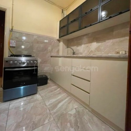 2 Սենյականոց Բնակարան, 50քմ, 6/9 հարկ, Կապիտալ Վերանորոգված, Կահավորված, Արևկող