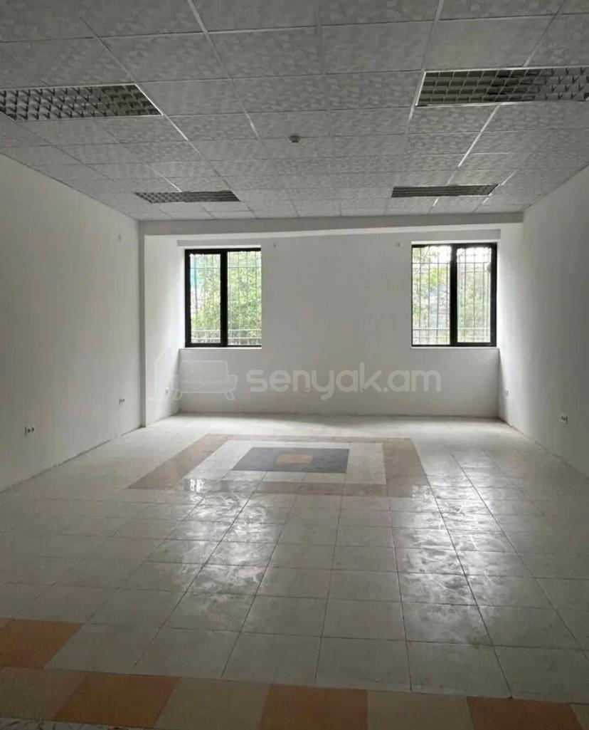 Օֆիսային Տարածք, 243քմ, Կապիտալ Վերանորոգված