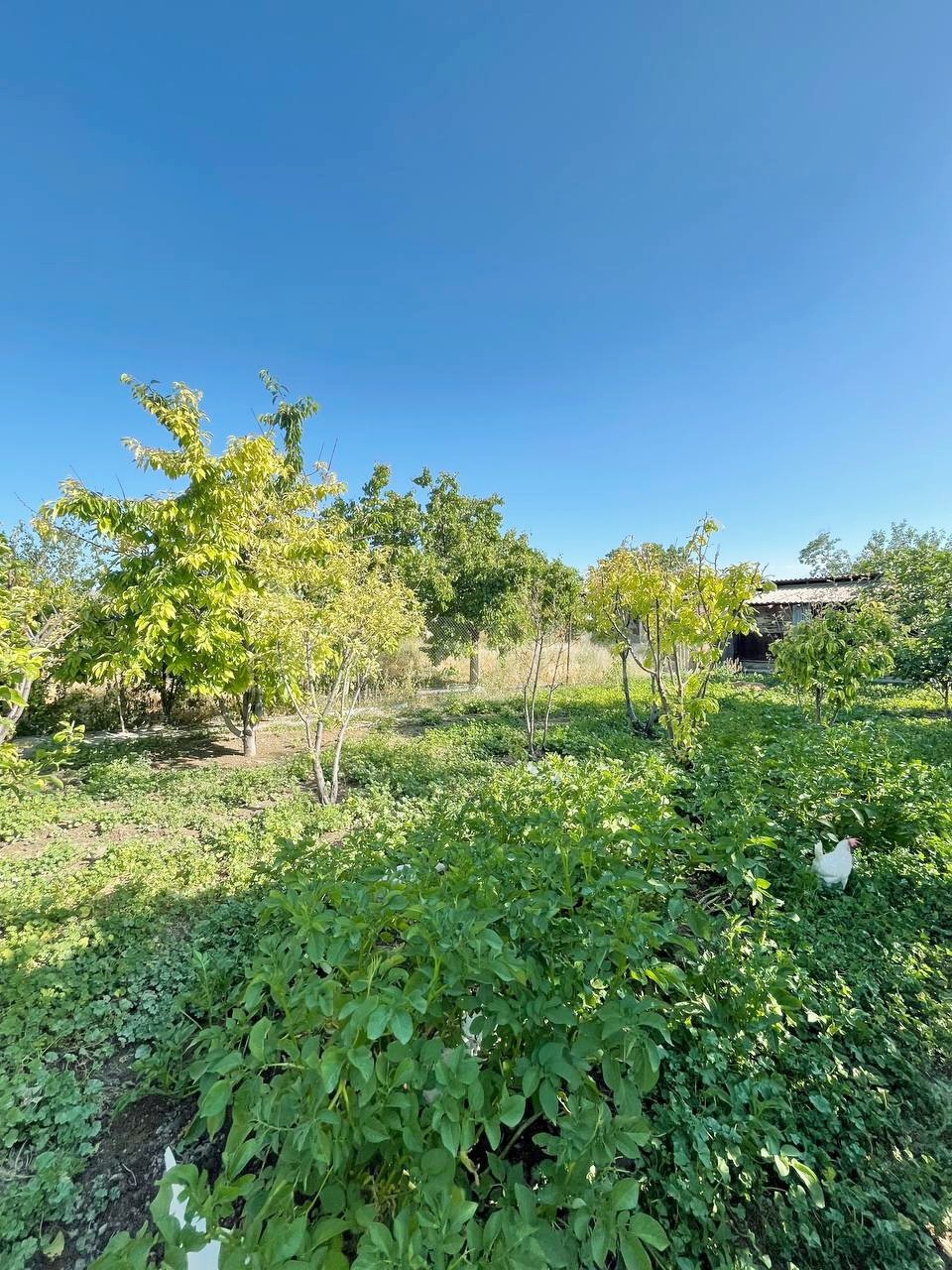8 Սենյականոց Սեփական Տուն, 160քմ, Նորմալ Վիճակում, Ավտոտնակով