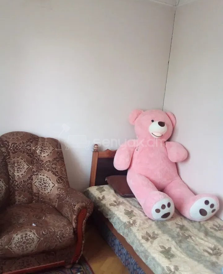 7 Սենյականոց Սեփական Տուն, 270քմ, Կապիտալ Վերանորոգված, Կահավորված