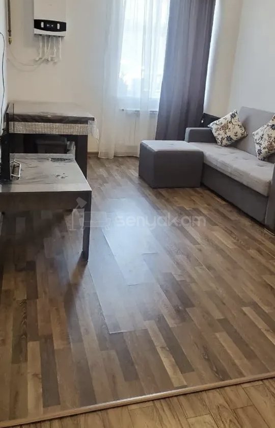2 Սենյականոց Բնակարան Քարե Շենքում, 58քմ, 1/5 հարկ, Կապիտալ Վերանորոգված, Կահավորված