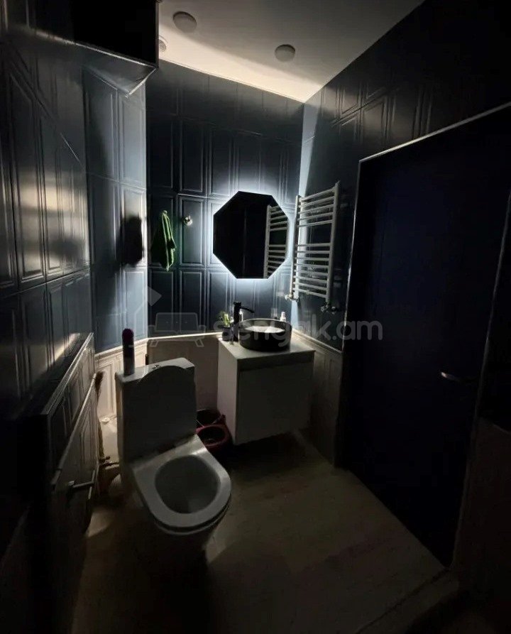 3 Սենյականոց Բնակարան Քարե Շենքում, 64քմ, 1/5 հարկ, Դիզայներական Վերանորոգված