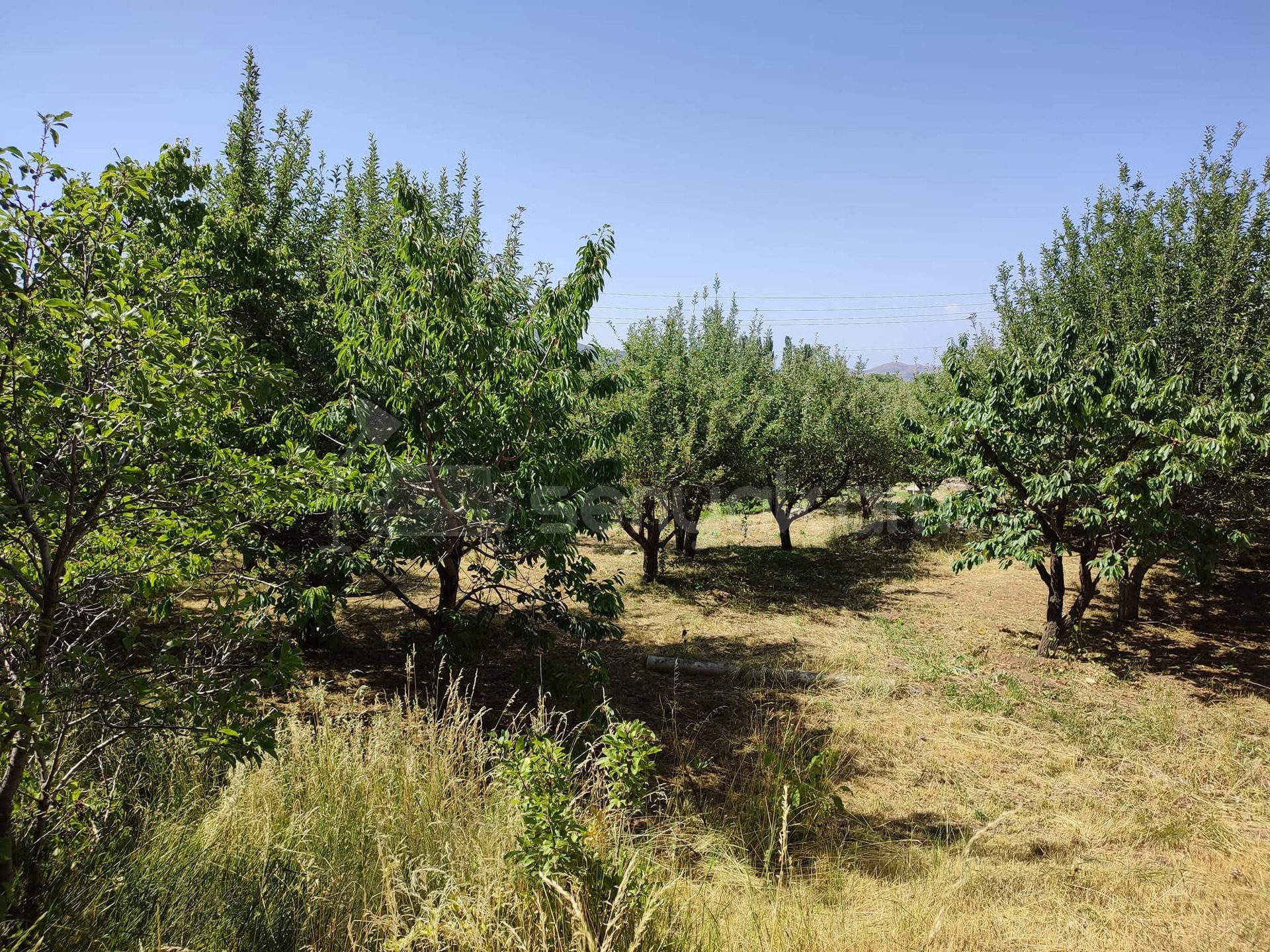 6 Սենյականոց Սեփական Տուն, 191քմ, Նորմալ Վիճակում