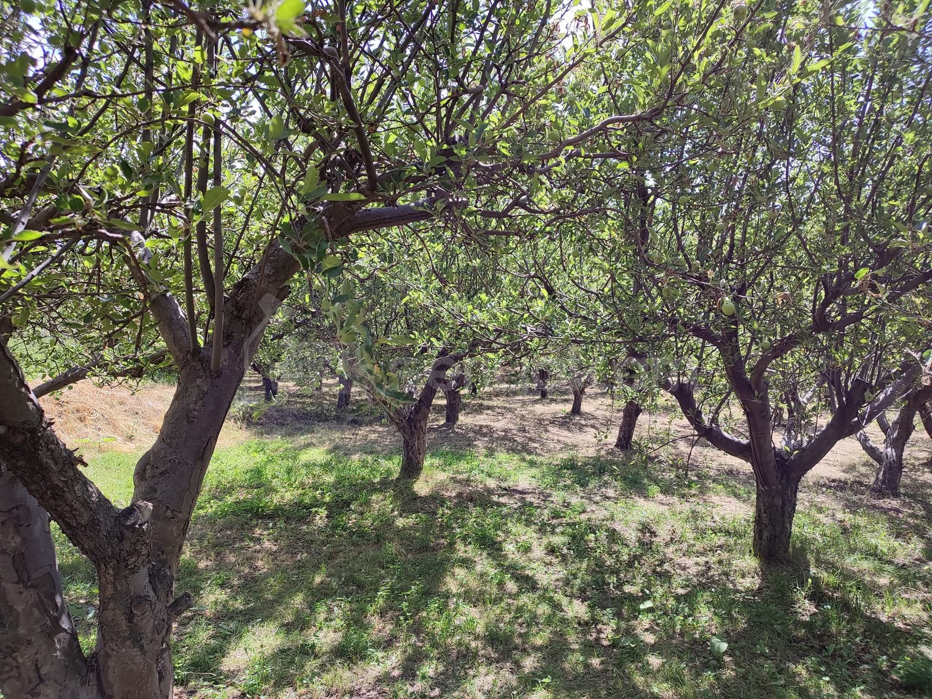 6 Սենյականոց Սեփական Տուն, 191քմ, Նորմալ Վիճակում
