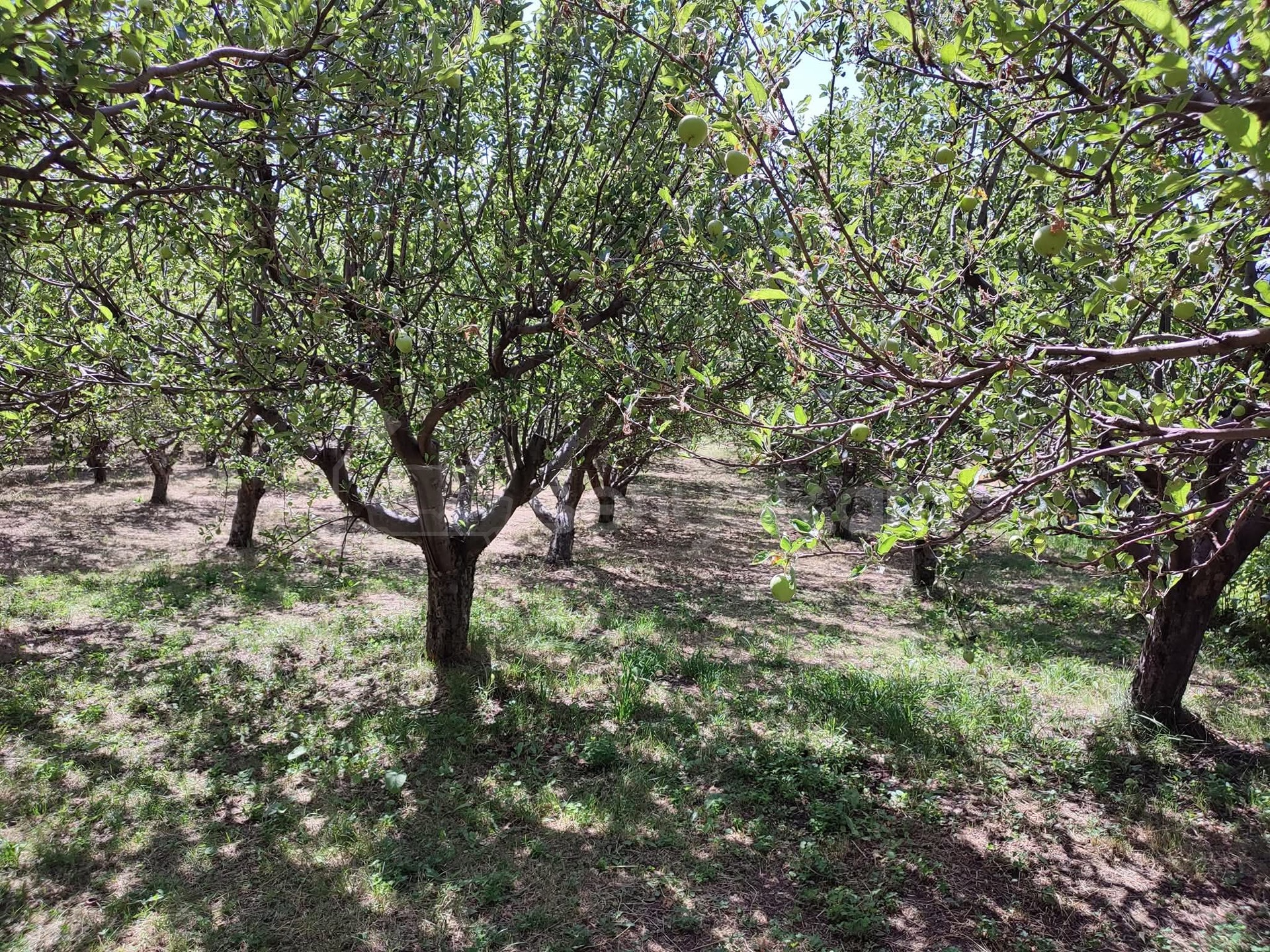 6 Սենյականոց Սեփական Տուն, 191քմ, Նորմալ Վիճակում