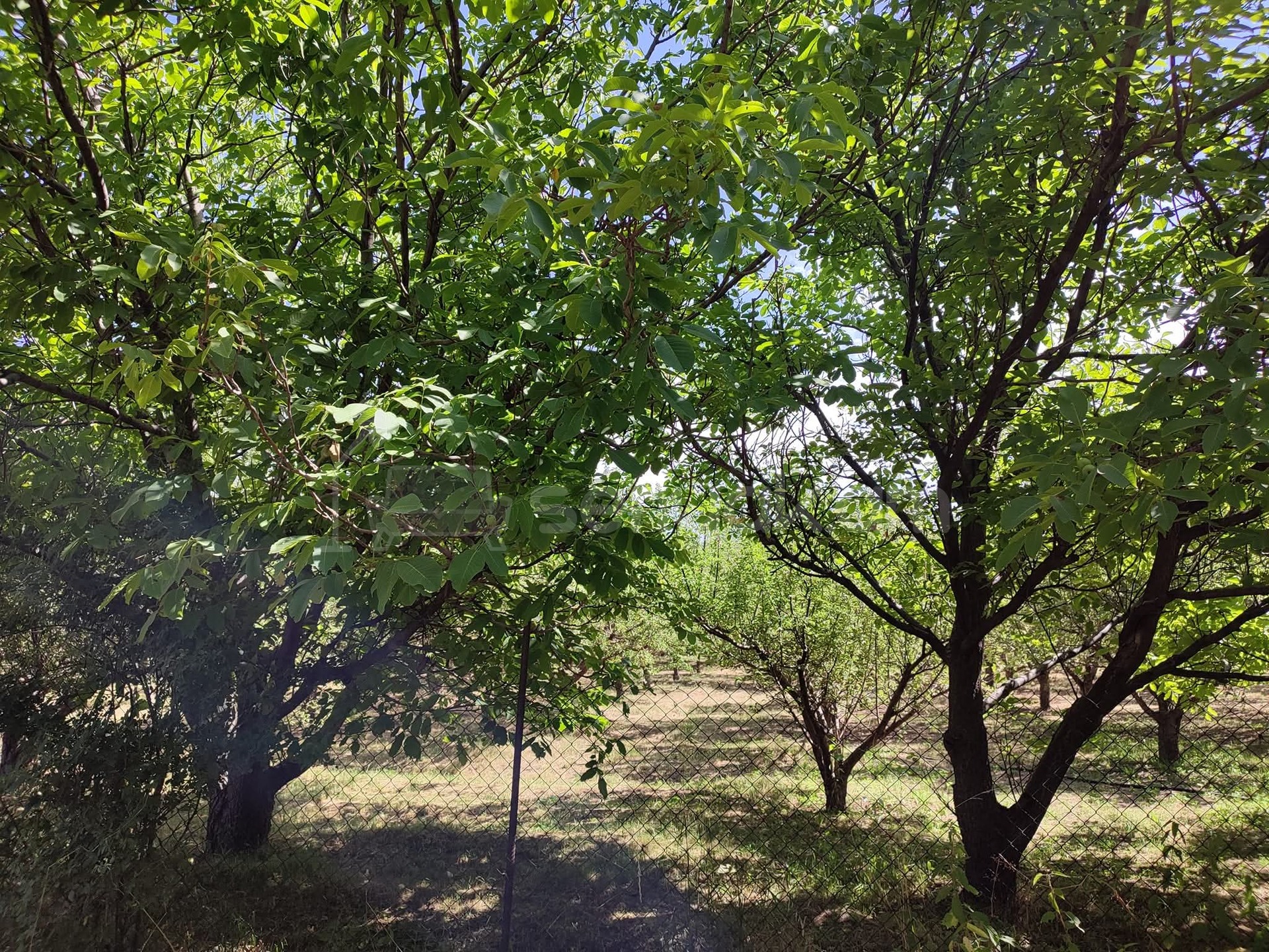 6 Սենյականոց Սեփական Տուն, 191քմ, Նորմալ Վիճակում