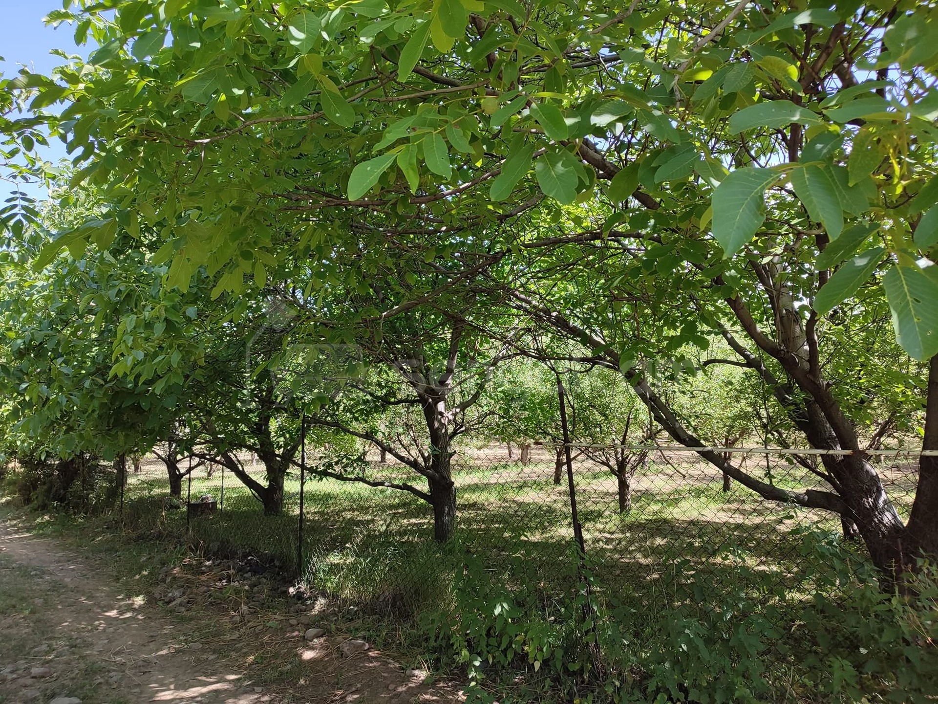 6 Սենյականոց Սեփական Տուն, 191քմ, Նորմալ Վիճակում