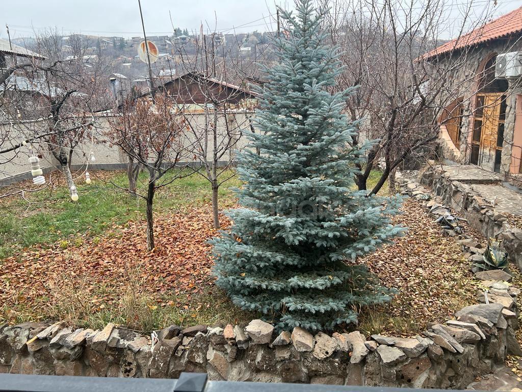 5 Սենյականոց Ամառանոց, 330քմ