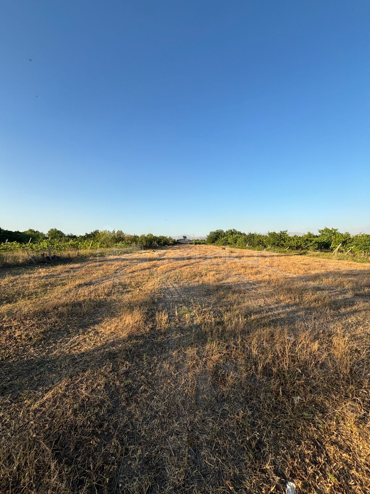 Հողամաս, 1260քմ