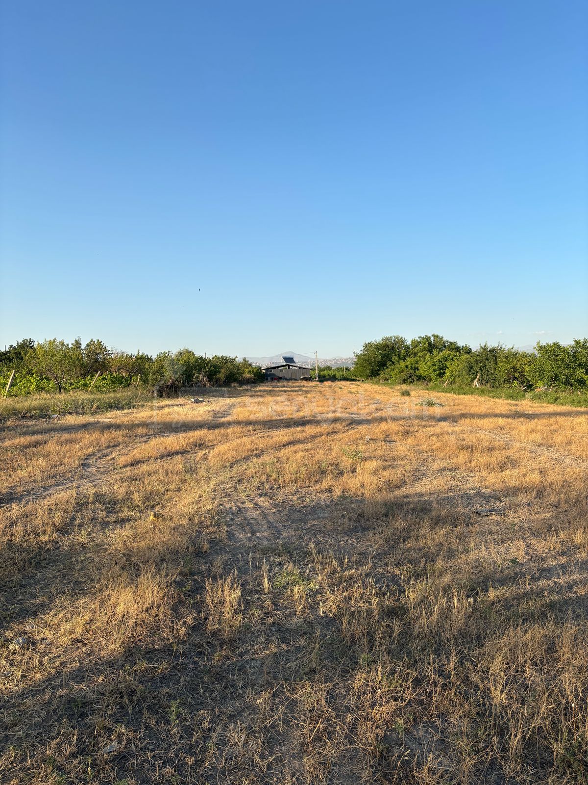 Հողամաս, 1260քմ