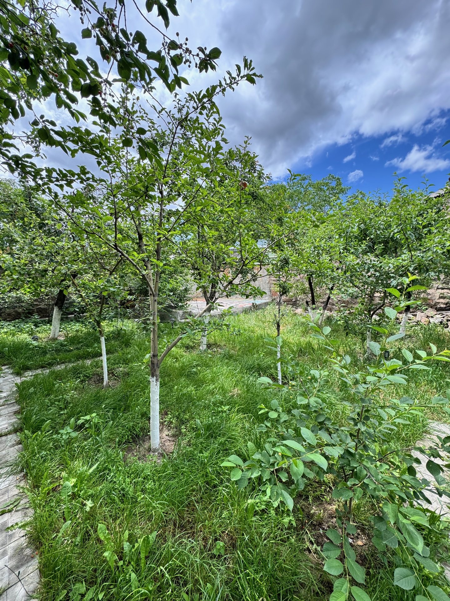 8 Սենյականոց Սեփական Տուն, 450քմ, Կապիտալ Վերանորոգված, Ավտոտնակով