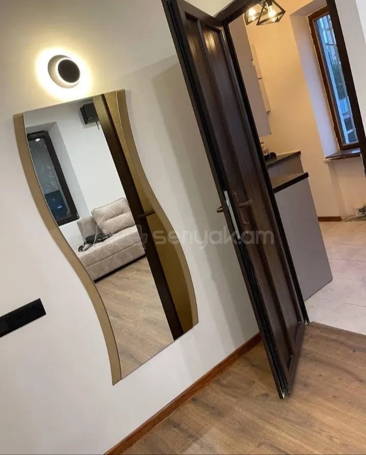 1 Սենյականոց Բնակարան Քարե Շենքում, 34քմ, 2/4 հարկ, Կապիտալ Վերանորոգված, Կահավորված