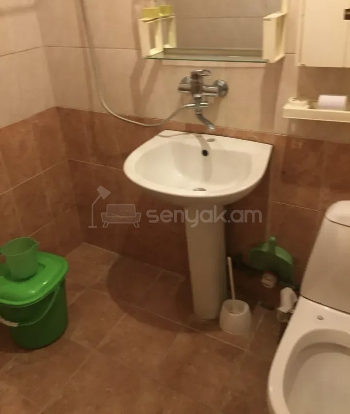 2 Սենյականոց Բնակարան Քարե Շենքում, 46քմ, 3/5 հարկ, Նորմալ Վիճակում, Կահավորված