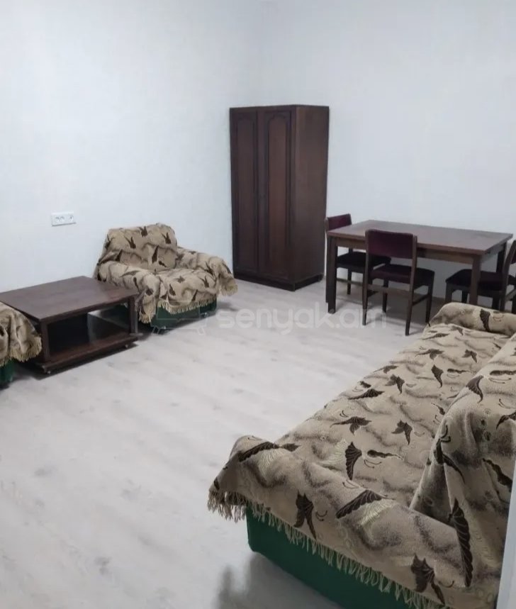 1 Սենյականոց Բնակարան Քարե Շենքում, 46քմ, 1/5 հարկ, Նորմալ Վիճակում, Կահավորված
