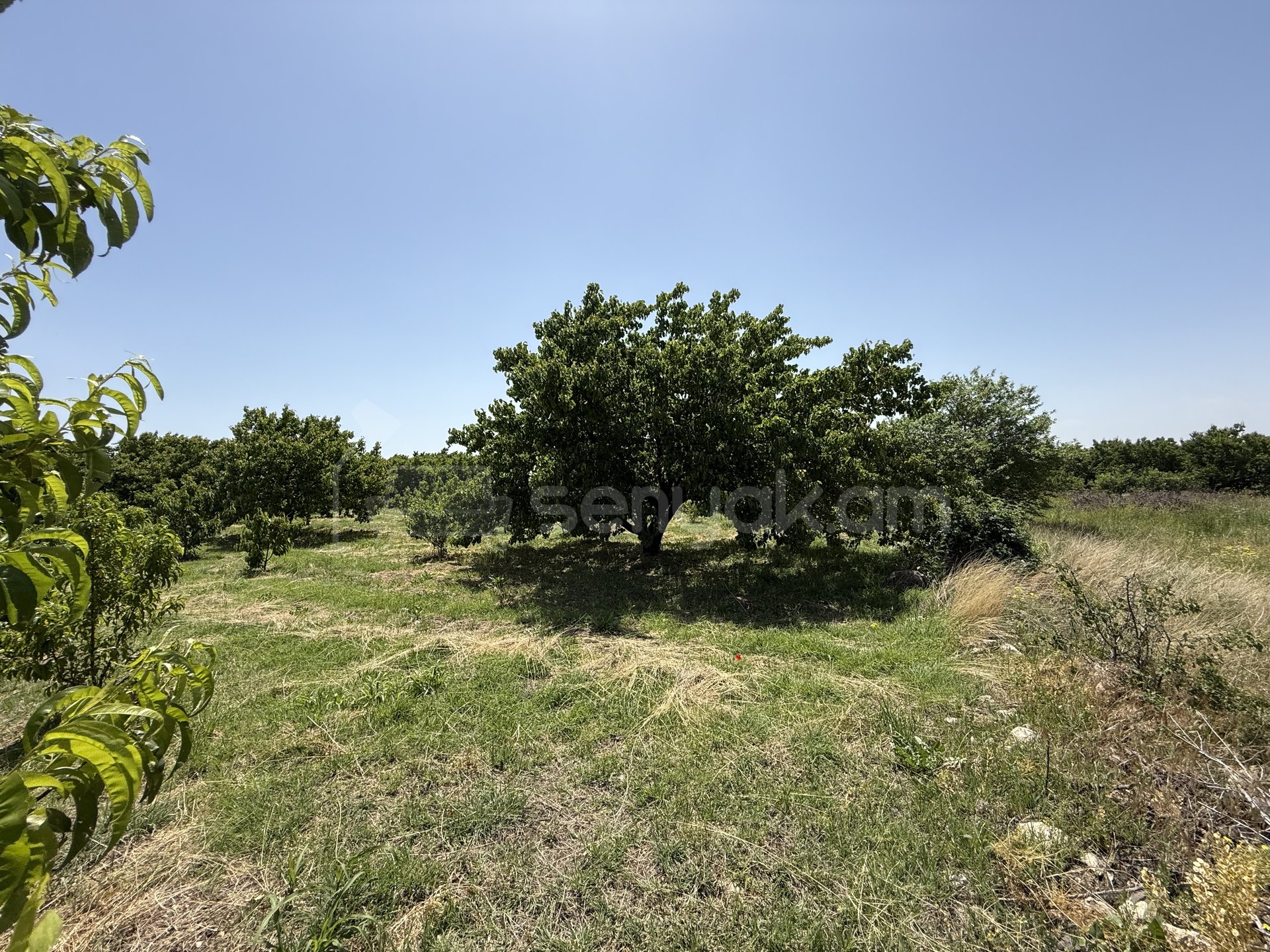 Բնակելի Նշանակության Հողատարածք, 1200քմ, Խմելու Ջրով, Էլեկտրականությամբ