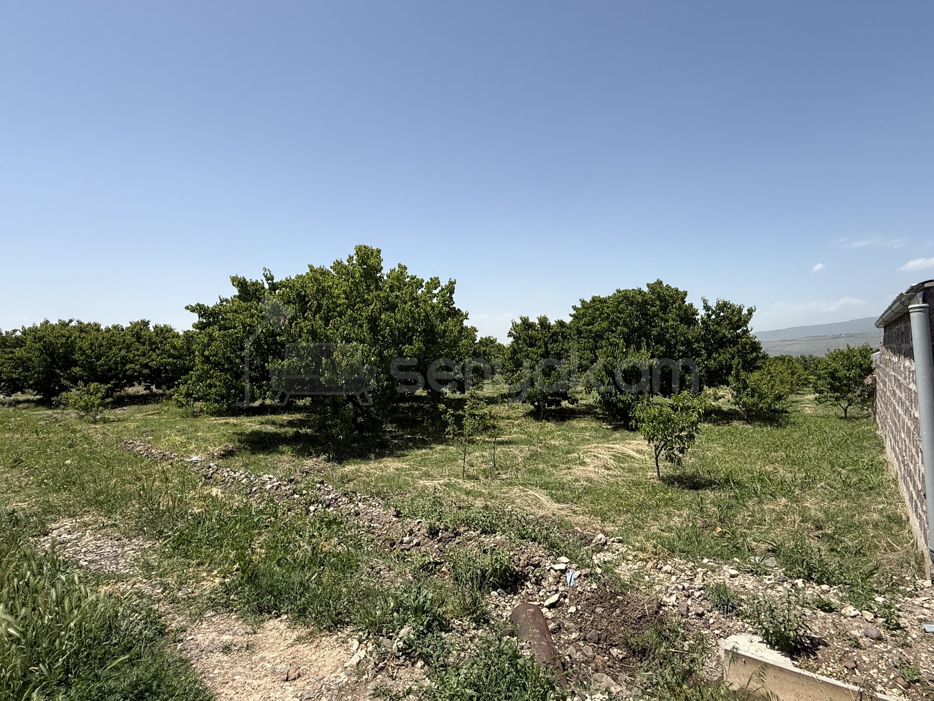 Բնակելի Նշանակության Հողատարածք, 1200քմ, Խմելու Ջրով, Էլեկտրականությամբ