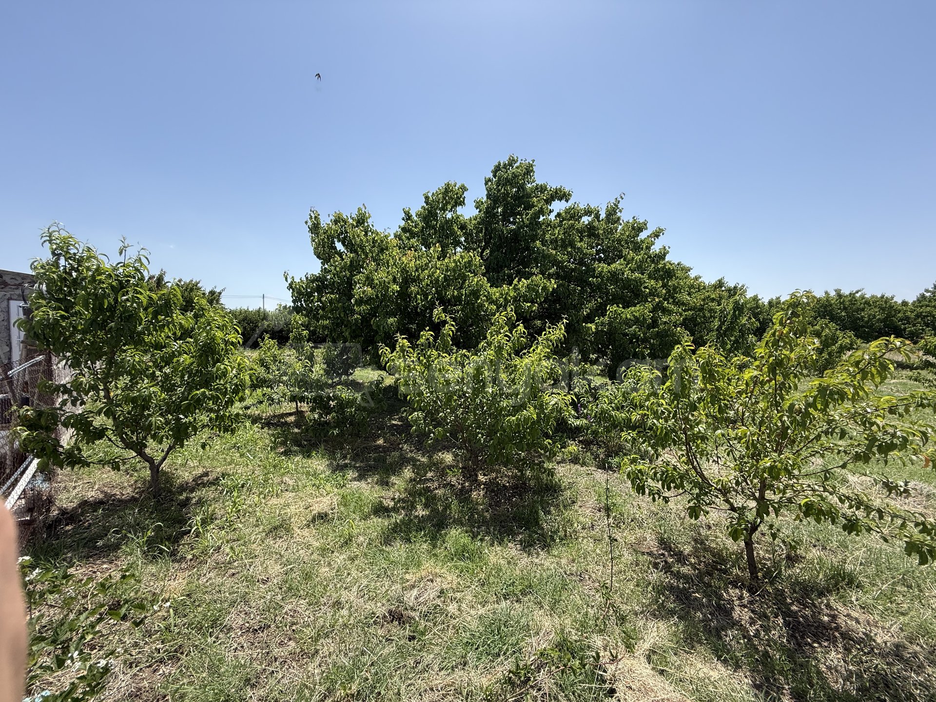 Բնակելի Նշանակության Հողատարածք, 1200քմ, Խմելու Ջրով, Էլեկտրականությամբ