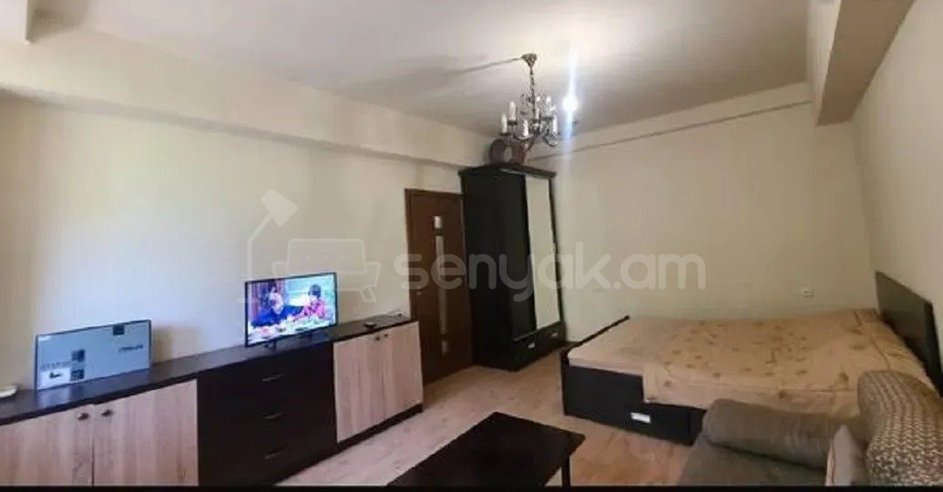 1 Սենյականոց Բնակարան Քարե Շենքում, 45քմ, 2/5 հարկ, Կոսմետիկ Վերանորոգված, Կահավորված