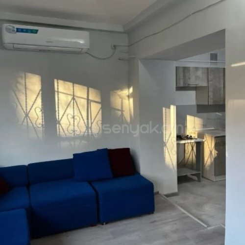 2 Սենյականոց Բնակարան Քարե Շենքում, 42քմ, 1/4 հարկ, Կապիտալ Վերանորոգված, Կահավորված, Արևկող