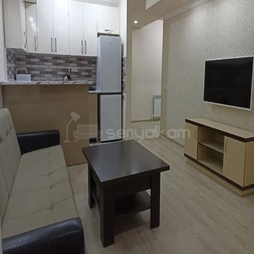 2 Սենյականոց Բնակարան, 50քմ, 2/9 հարկ, Կապիտալ Վերանորոգված, Կահավորված, Արևկող